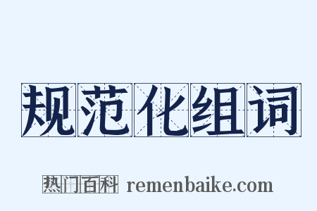 规范化组词是什么意思的图片